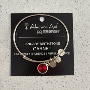 Alex and Ani Garnet January Birthstone Bracelet